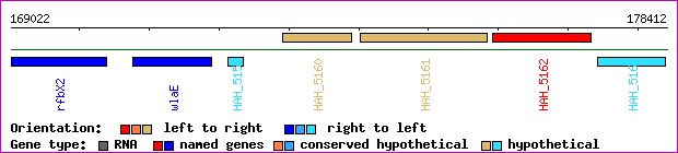 gene map