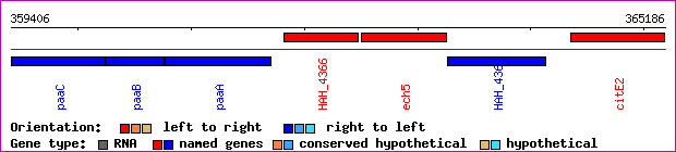 gene map