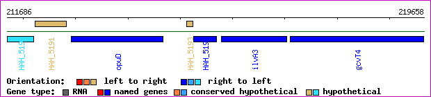 gene map