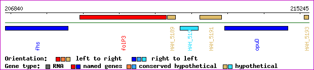 gene map