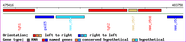 gene map