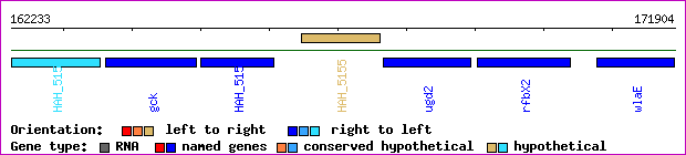 gene map