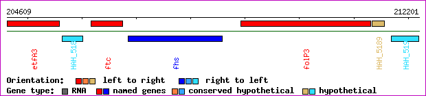 gene map