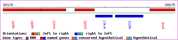 gene map