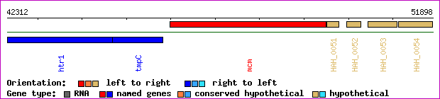 gene map