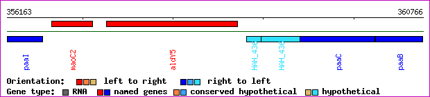 gene map
