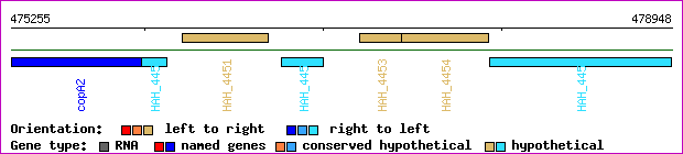 gene map