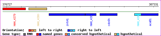 gene map