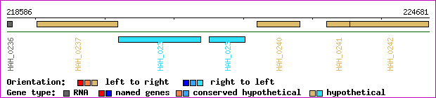 gene map