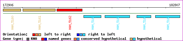 gene map