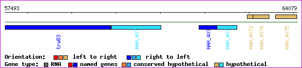 gene map