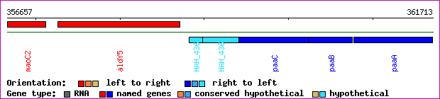 gene map