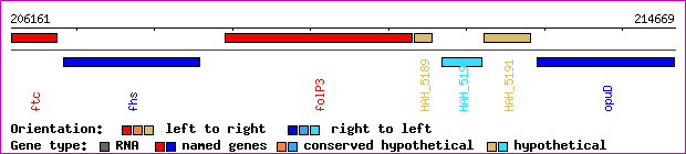 gene map