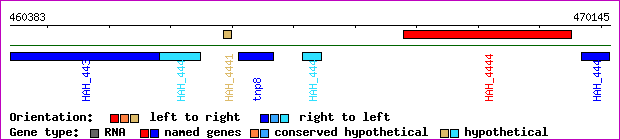 gene map
