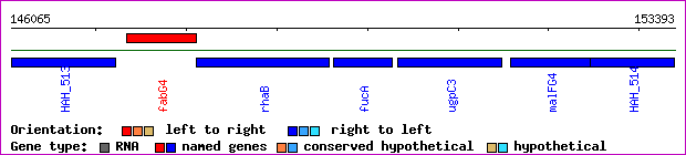 gene map