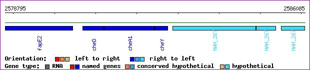 gene map