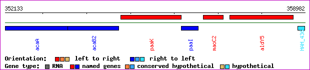 gene map