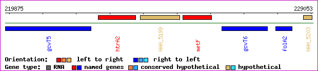 gene map