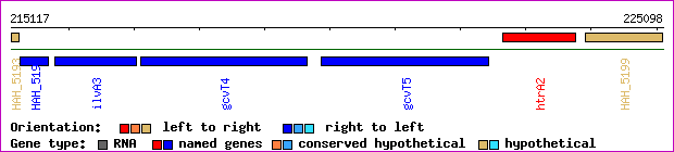 gene map