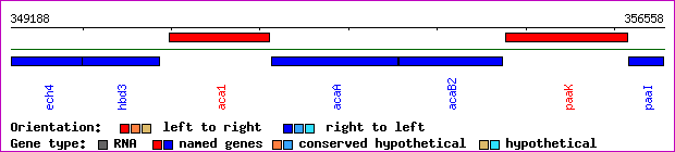 gene map