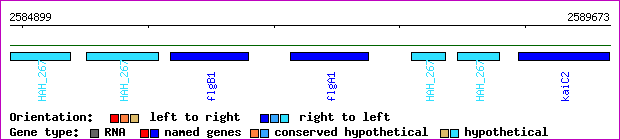 gene map