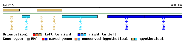 gene map