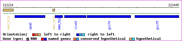 gene map