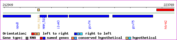 gene map