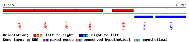 gene map