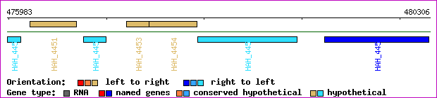 gene map