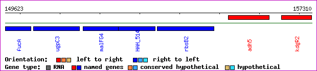 gene map