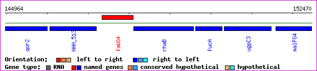 gene map