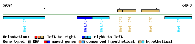 gene map