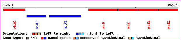gene map