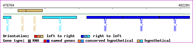 gene map