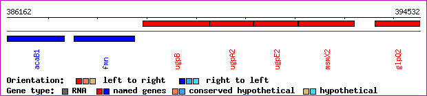gene map