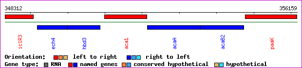 gene map