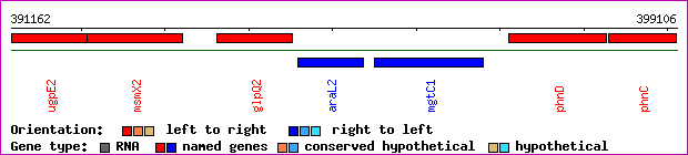 gene map