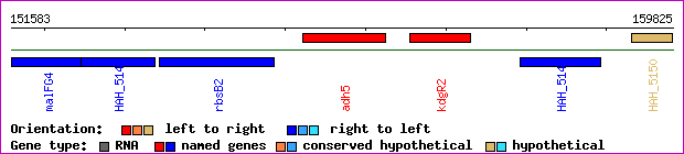gene map