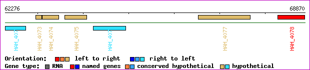 gene map