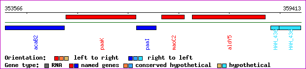gene map