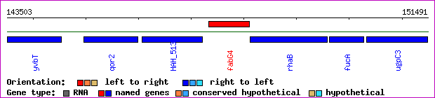 gene map
