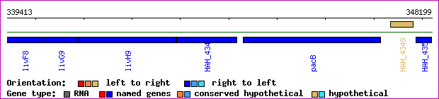 gene map