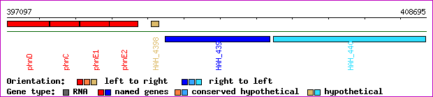 gene map