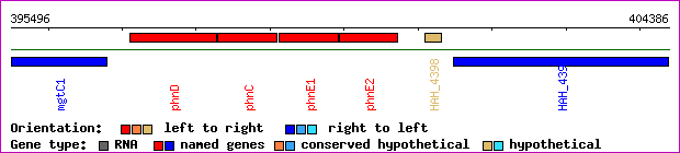 gene map