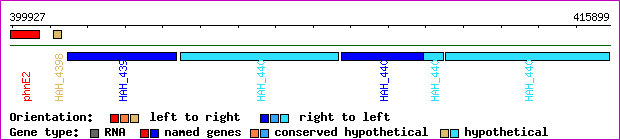 gene map