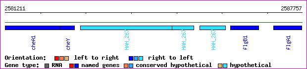 gene map