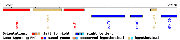 gene map