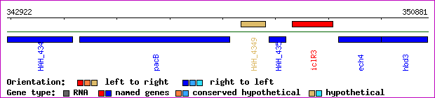 gene map