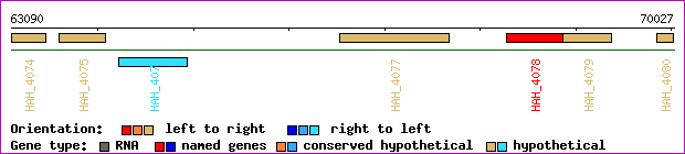 gene map